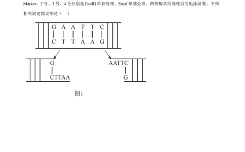 解密19基因工程（分层训练)（原版卷）_新高考复习资料_2023年新高考复习资料_二轮复习_高频考点解密2023年高考生物二轮复习讲义+分层训练（全国通用）288808838