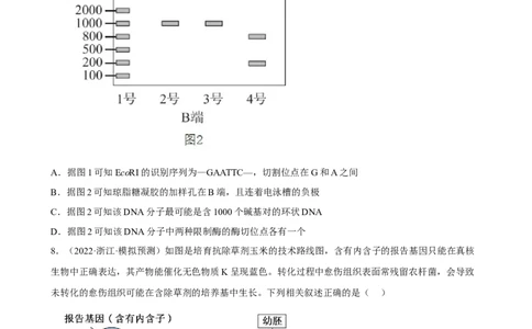 解密19基因工程（分层训练)（原版卷）_新高考复习资料_2023年新高考复习资料_二轮复习_高频考点解密2023年高考生物二轮复习讲义+分层训练（全国通用）288808838
