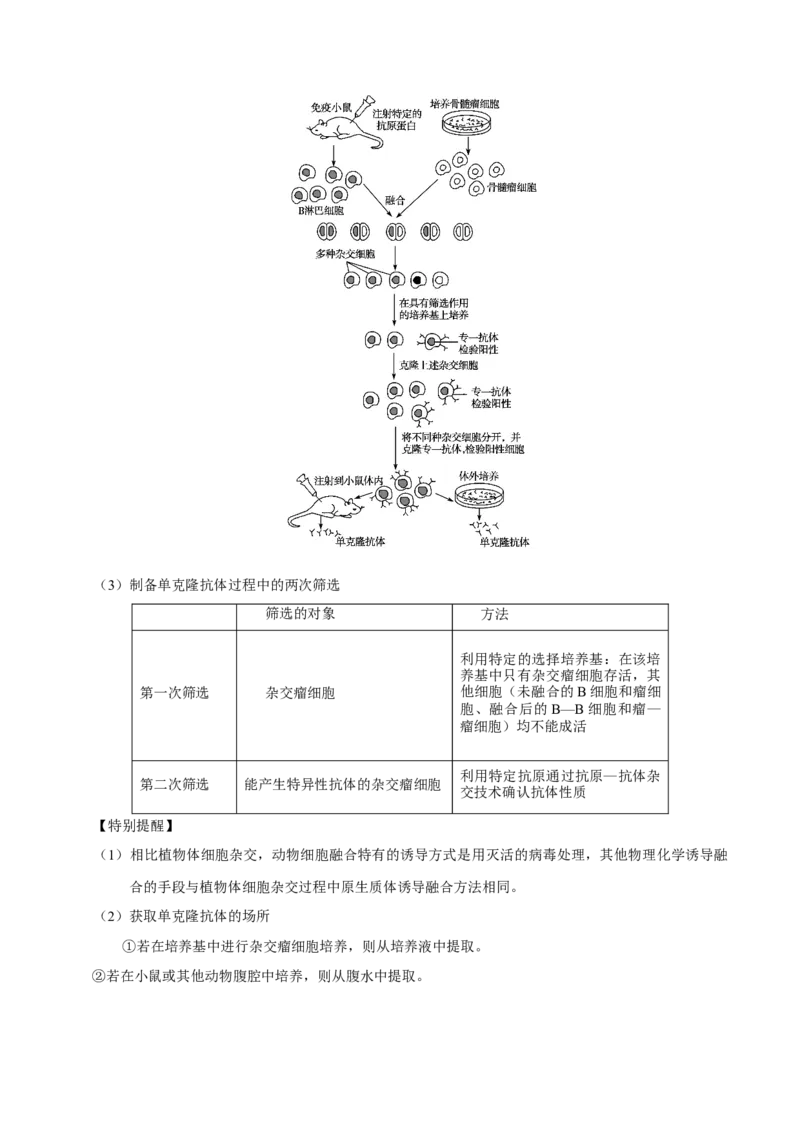 解密27克隆技术和胚胎工程（讲义）-高频考点解密2021年高考生物二轮复习讲义+分层训练_新高考复习资料_2021年新高考资料