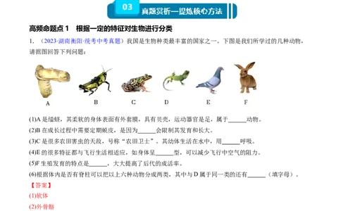 清单11生物的多样性及其保护（3大考点+5大高频命题点）（教师版）_6生物中考复习_2024年中考复习资料_一轮复习资料_完口袋书2024年中考生物一轮复习知识清单