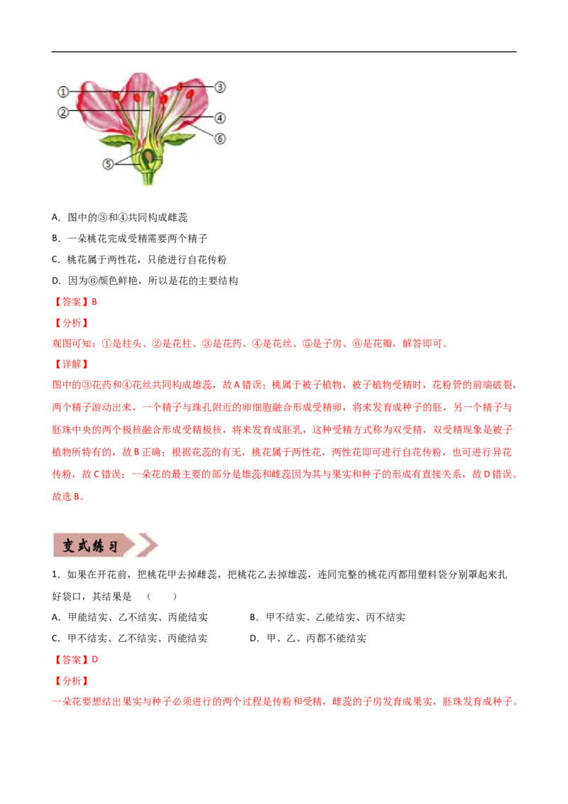 易错点04被子植物的一生-备战2022年中考生物考试易错题（解析版）_6生物中考复习_2023年中考复习资料_专项复习_备战2022年中考生物考试易错题