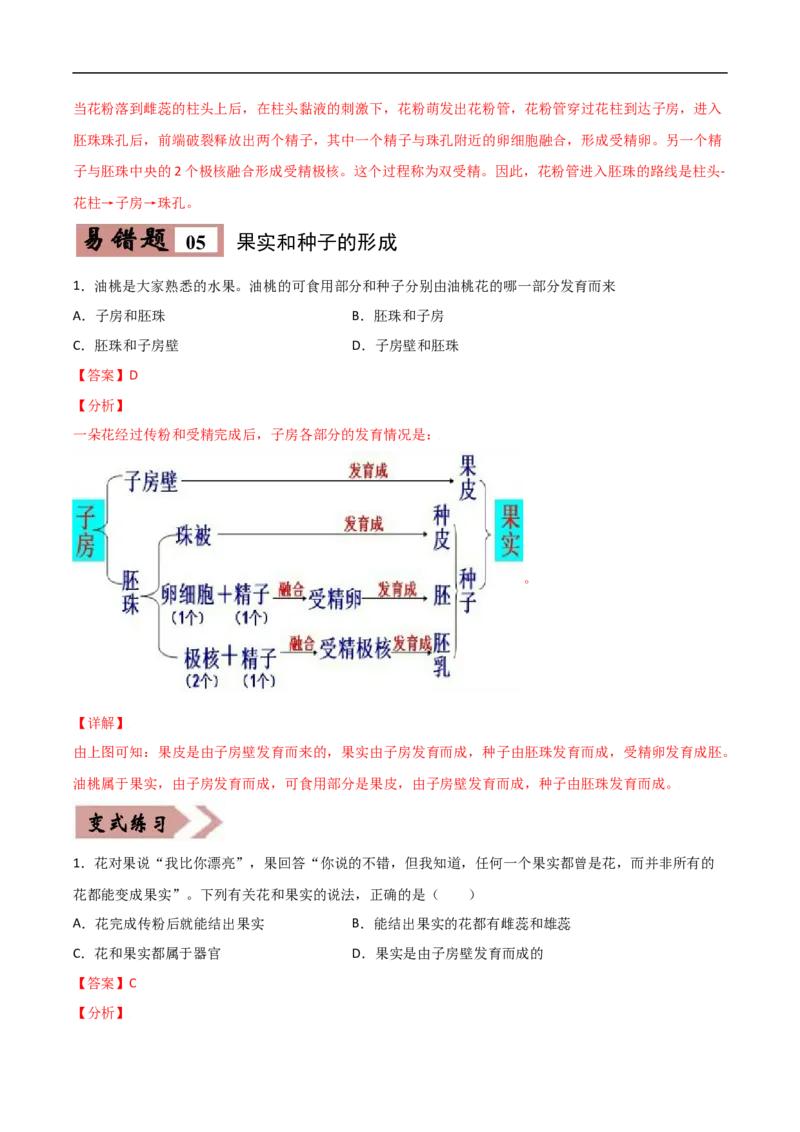 易错点04被子植物的一生-备战2022年中考生物考试易错题（解析版）_6生物中考复习_2023年中考复习资料_专项复习_备战2022年中考生物考试易错题
