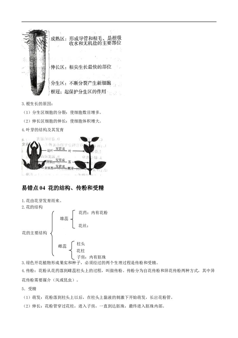 易错点04被子植物的一生-备战2022年中考生物考试易错题（解析版）_6生物中考复习_2023年中考复习资料_专项复习_备战2022年中考生物考试易错题