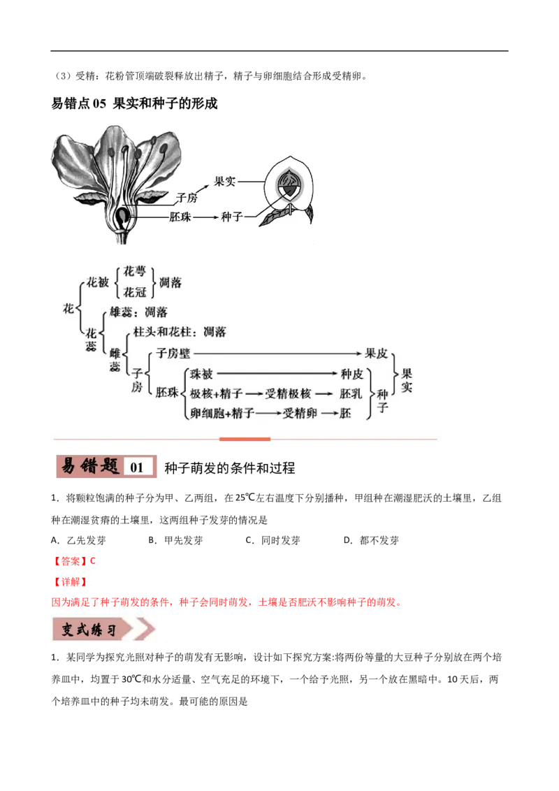易错点04被子植物的一生-备战2022年中考生物考试易错题（解析版）_6生物中考复习_2023年中考复习资料_专项复习_备战2022年中考生物考试易错题