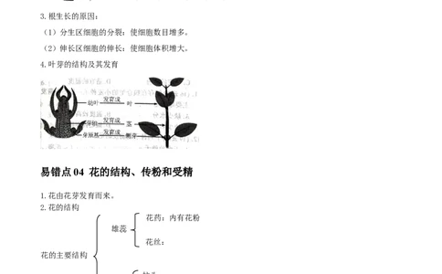 易错点04被子植物的一生-备战2022年中考生物考试易错题（解析版）_6生物中考复习_2023年中考复习资料_专项复习_备战2022年中考生物考试易错题