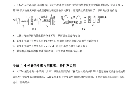 解密19植物的激素调节（分层训练）（原卷版）_新高考复习资料_2021年新高考资料_高频考点解密2021年高考生物二轮复习讲义+分层训练4.7更新