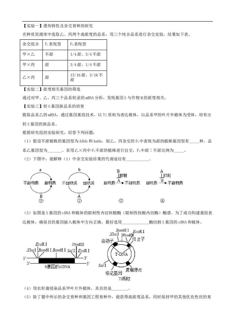 解密19基因工程（讲义）（学生版）_通用版（老高考）复习资料_2023年复习资料_二轮复习_高频考点解密2023年高考生物二轮复习讲义+分层训练（全国通用）