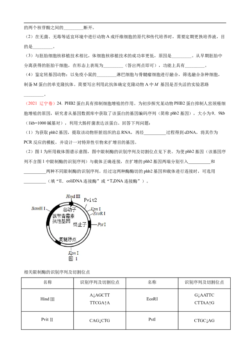 解密19基因工程（讲义）（学生版）_通用版（老高考）复习资料_2023年复习资料_二轮复习_高频考点解密2023年高考生物二轮复习讲义+分层训练（全国通用）