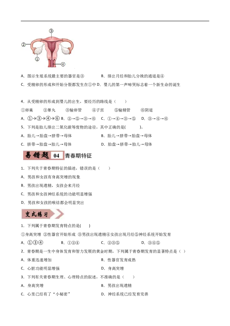 易错点07人的由来-备战2022年中考生物考试易错题（原卷版）_6生物中考复习_2023年中考复习资料_专项复习_备战2022年中考生物考试易错题
