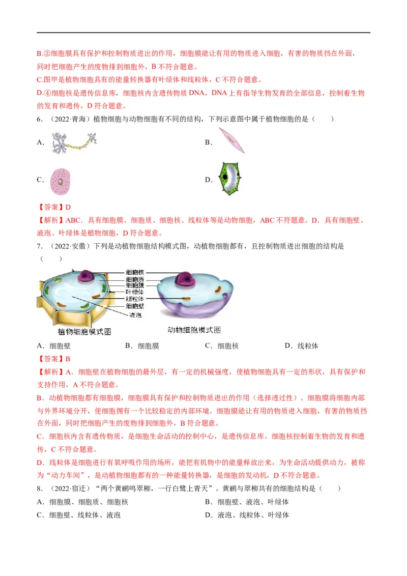 热点01植物的细胞结构及开花和结果-2023年中考生物热点&middot;重点&middot;难点专练（全国通用）（解析版）_6生物中考复习_2023年中考复习资料_专项复习