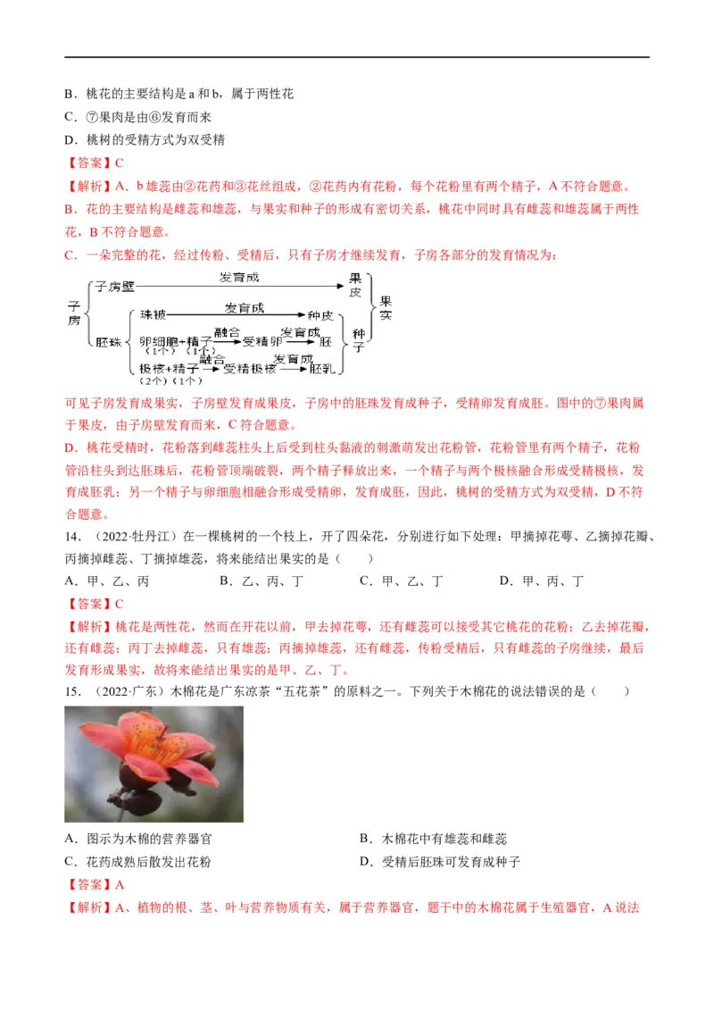 热点01植物的细胞结构及开花和结果-2023年中考生物热点&middot;重点&middot;难点专练（全国通用）（解析版）_6生物中考复习_2023年中考复习资料_专项复习