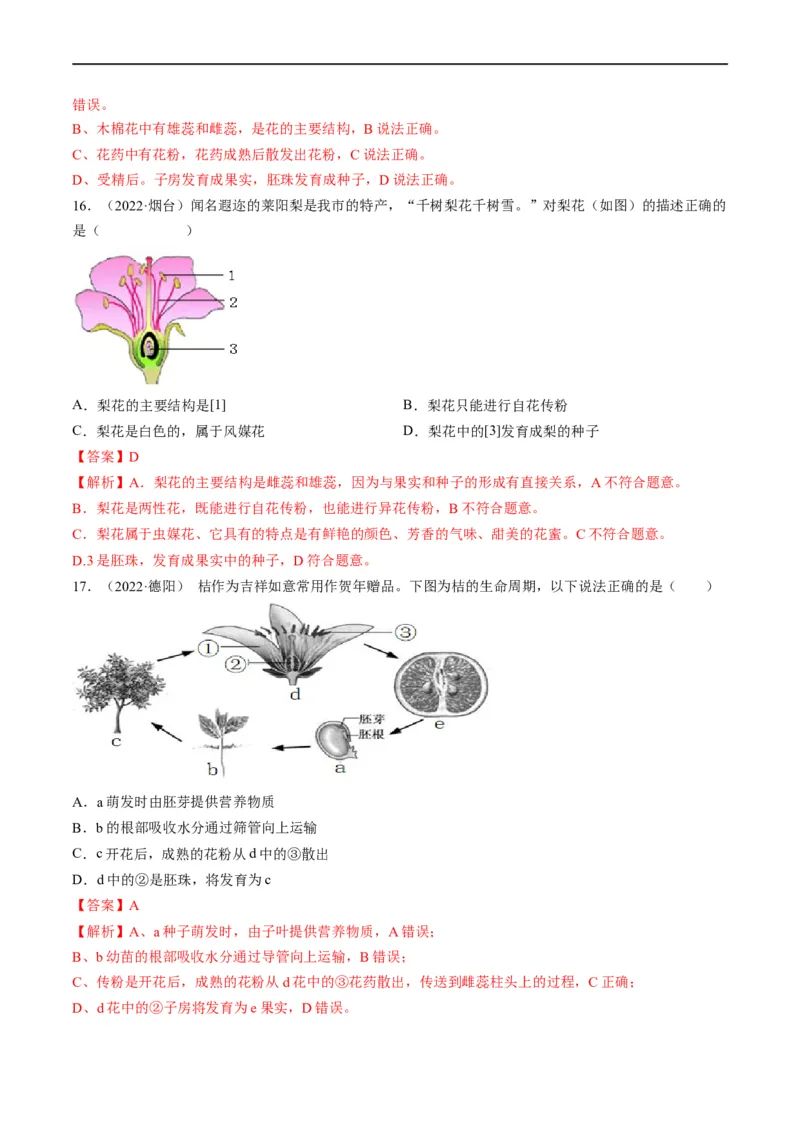 热点01植物的细胞结构及开花和结果-2023年中考生物热点&middot;重点&middot;难点专练（全国通用）（解析版）_6生物中考复习_2023年中考复习资料_专项复习