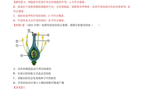 热点01植物的细胞结构及开花和结果-2023年中考生物热点&middot;重点&middot;难点专练（全国通用）（解析版）_6生物中考复习_2023年中考复习资料_专项复习