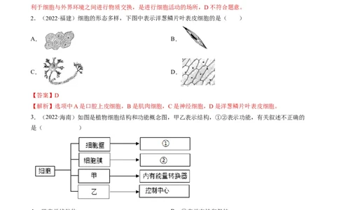 热点01植物的细胞结构及开花和结果-2023年中考生物热点&middot;重点&middot;难点专练（全国通用）（解析版）_6生物中考复习_2023年中考复习资料_专项复习
