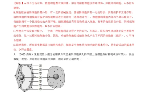 热点01植物的细胞结构及开花和结果-2023年中考生物热点&middot;重点&middot;难点专练（全国通用）（解析版）_6生物中考复习_2023年中考复习资料_专项复习