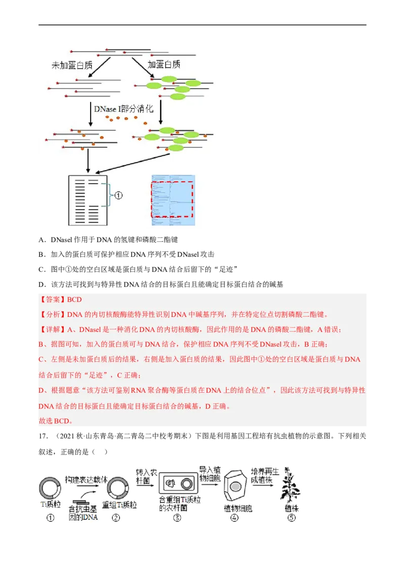 解密19基因工程（分层训练)（解析版）_通用版（老高考）复习资料_2023年复习资料_二轮复习_高频考点解密2023年高考生物二轮复习讲义+分层训练（全国通用）