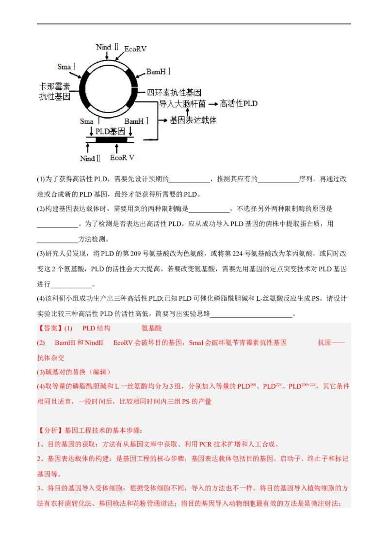 解密19基因工程（分层训练)（解析版）_通用版（老高考）复习资料_2023年复习资料_二轮复习_高频考点解密2023年高考生物二轮复习讲义+分层训练（全国通用）