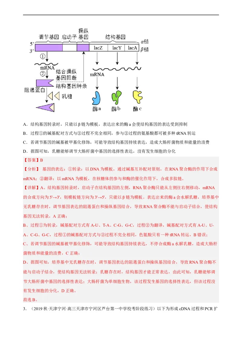 解密19基因工程（分层训练)（解析版）_通用版（老高考）复习资料_2023年复习资料_二轮复习_高频考点解密2023年高考生物二轮复习讲义+分层训练（全国通用）
