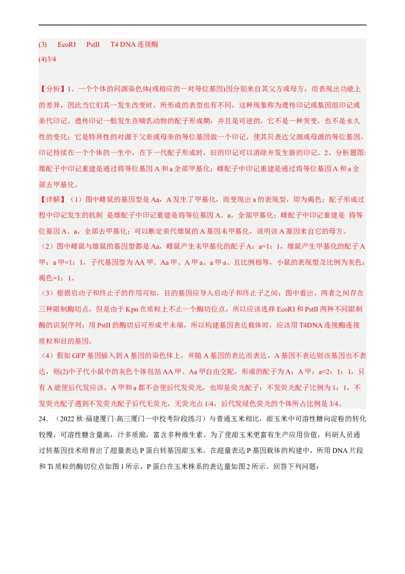 解密19基因工程（分层训练)（解析版）_通用版（老高考）复习资料_2023年复习资料_二轮复习_高频考点解密2023年高考生物二轮复习讲义+分层训练（全国通用）