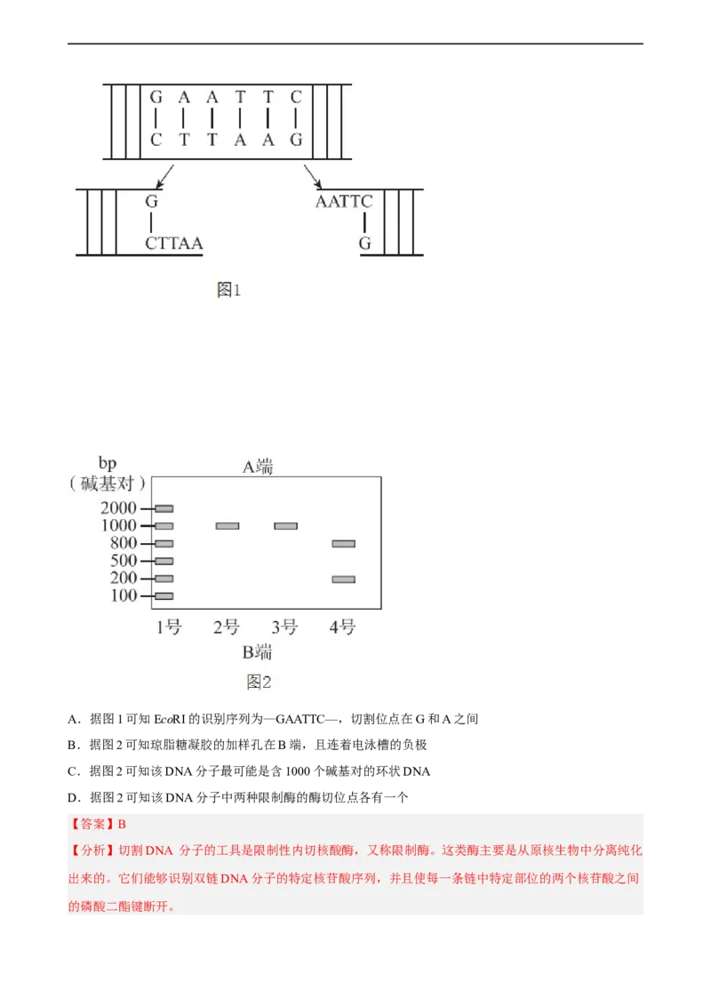 解密19基因工程（分层训练)（解析版）_通用版（老高考）复习资料_2023年复习资料_二轮复习_高频考点解密2023年高考生物二轮复习讲义+分层训练（全国通用）