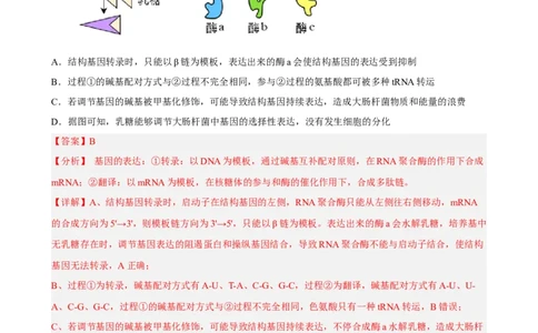 解密19基因工程（分层训练)（解析版）_通用版（老高考）复习资料_2023年复习资料_二轮复习_高频考点解密2023年高考生物二轮复习讲义+分层训练（全国通用）