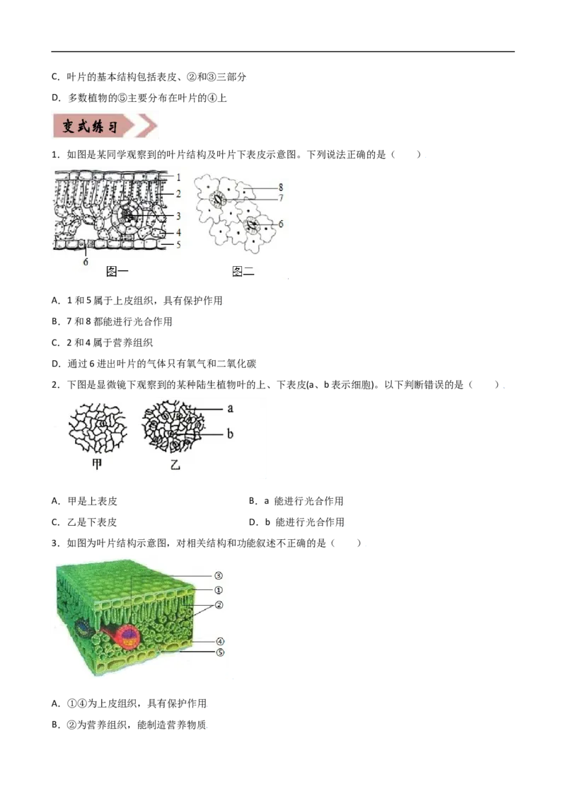 易错点05绿色植物的水循环-备战2022年中考生物考试易错题（原卷版）_6生物中考复习_2023年中考复习资料_专项复习_备战2022年中考生物考试易错题