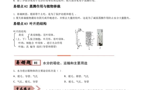 易错点05绿色植物的水循环-备战2022年中考生物考试易错题（原卷版）_6生物中考复习_2023年中考复习资料_专项复习_备战2022年中考生物考试易错题