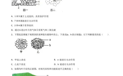 易错点05绿色植物的水循环-备战2022年中考生物考试易错题（原卷版）_6生物中考复习_2023年中考复习资料_专项复习_备战2022年中考生物考试易错题