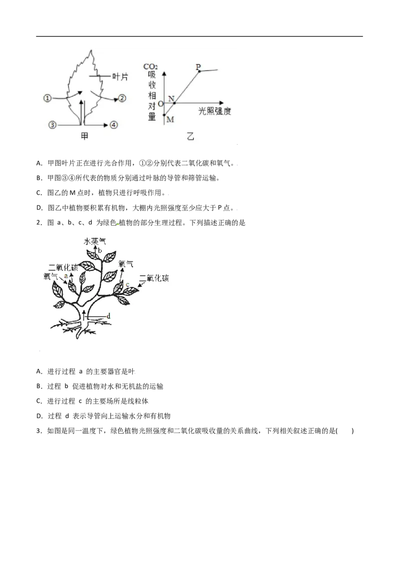 易错点06光合作用和呼吸作用-备战2022年中考生物考试易错题（原卷版）_6生物中考复习_2023年中考复习资料_专项复习_备战2022年中考生物考试易错题
