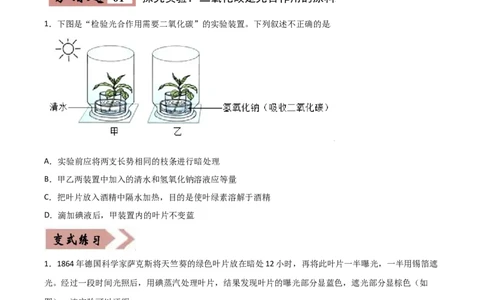 易错点06光合作用和呼吸作用-备战2022年中考生物考试易错题（原卷版）_6生物中考复习_2023年中考复习资料_专项复习_备战2022年中考生物考试易错题