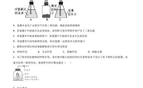 易错点06光合作用和呼吸作用-备战2022年中考生物考试易错题（原卷版）_6生物中考复习_2023年中考复习资料_专项复习_备战2022年中考生物考试易错题
