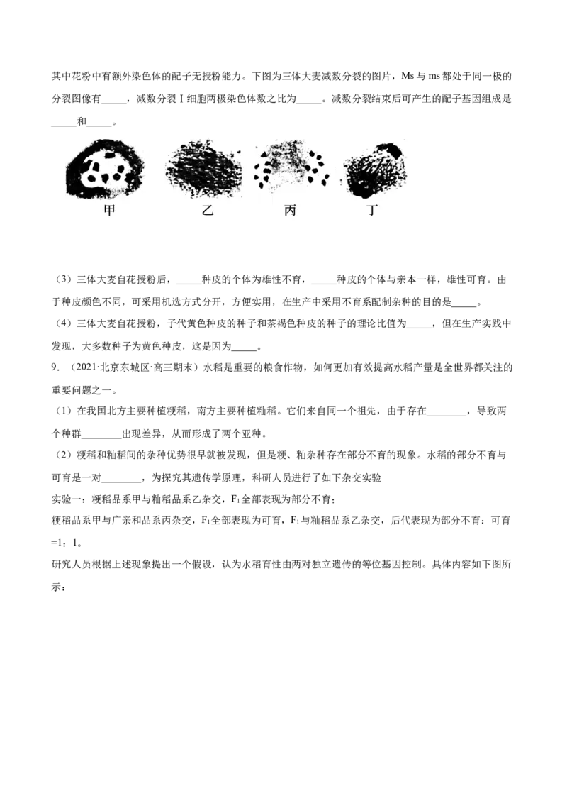 解密13生物的变异与育种（分层训练）（原卷版）_新高考复习资料_2021年新高考资料_高频考点解密2021年高考生物二轮复习讲义+分层训练4.7更新