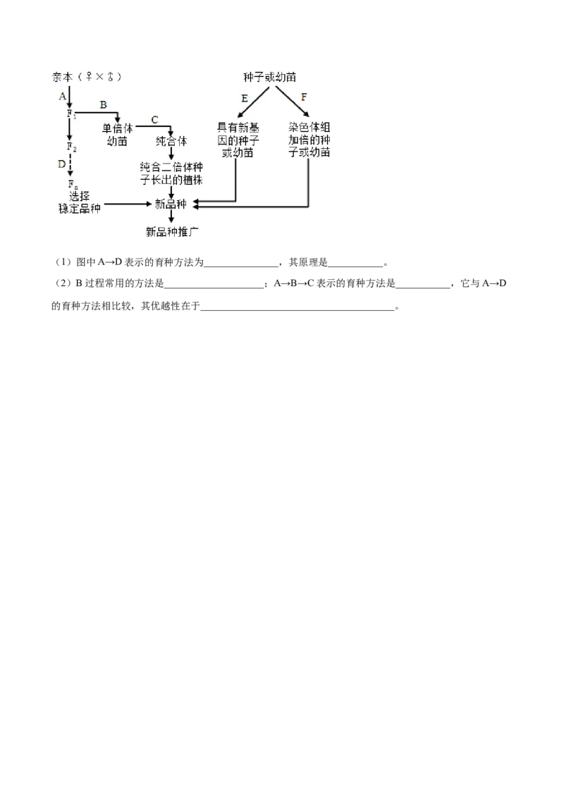 解密13生物的变异与育种（分层训练）（原卷版）_新高考复习资料_2021年新高考资料_高频考点解密2021年高考生物二轮复习讲义+分层训练4.7更新