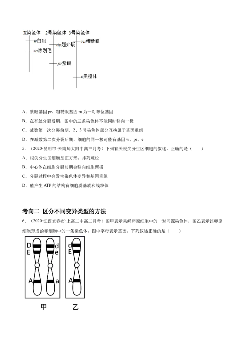 解密13生物的变异与育种（分层训练）（原卷版）_新高考复习资料_2021年新高考资料_高频考点解密2021年高考生物二轮复习讲义+分层训练4.7更新