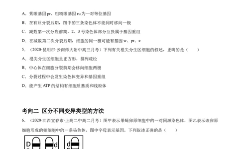解密13生物的变异与育种（分层训练）（原卷版）_新高考复习资料_2021年新高考资料_高频考点解密2021年高考生物二轮复习讲义+分层训练4.7更新