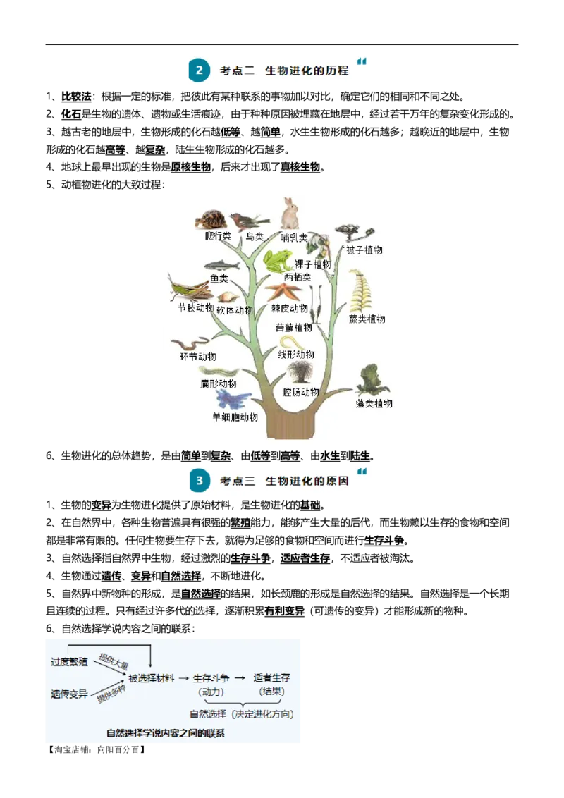 清单14生命起源和生物进化（3大考点+5大高频命题点）（教师版）_6生物中考复习_2024年中考复习资料_一轮复习资料_完口袋书2024年中考生物一轮复习知识清单