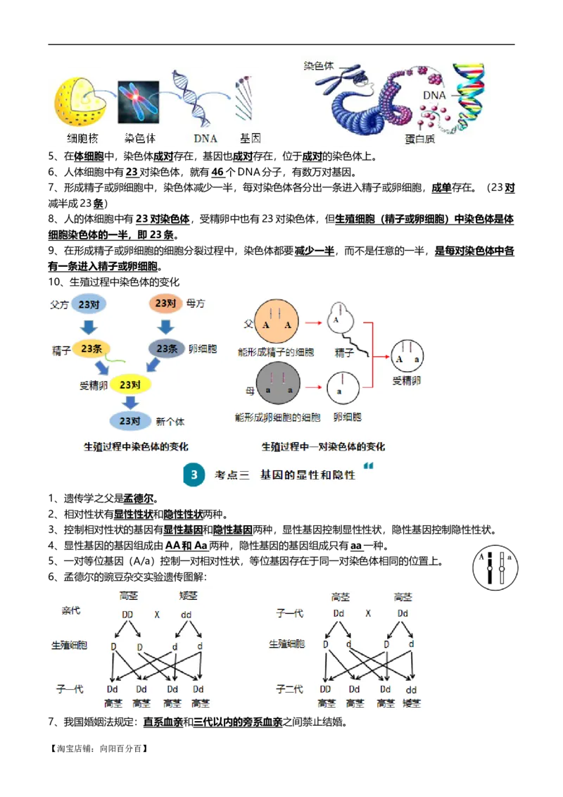 清单13生物的遗传和变异（5大考点+6大高频命题点）（教师版）_6生物中考复习_2024年中考复习资料_一轮复习资料_完口袋书2024年中考生物一轮复习知识清单_教师版（含答案解析）