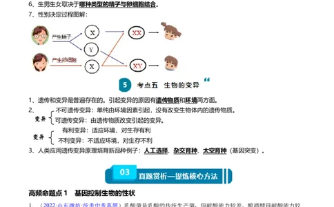 清单13生物的遗传和变异（5大考点+6大高频命题点）（教师版）_6生物中考复习_2024年中考复习资料_一轮复习资料_完口袋书2024年中考生物一轮复习知识清单_教师版（含答案解析）