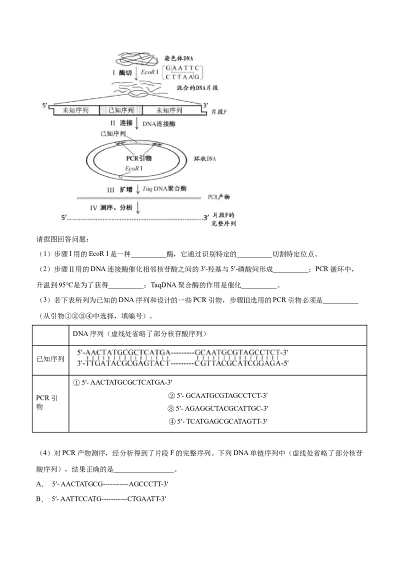 解密25生物技术在食品加工及其他方面的应用（讲义）-高频考点解密2021年高考生物二轮复习讲义+分层训练_新高考复习资料_2021年新高考资料