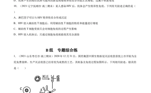解密17免疫调节（分层训练）（原卷版）_新高考复习资料_2021年新高考资料_高频考点解密2021年高考生物二轮复习讲义+分层训练4.7更新
