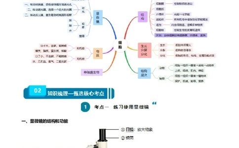 清单02生物体的结构层次（6大考点+6大高频命题点）（教师版）_6生物中考复习_2024年中考复习资料_一轮复习资料_完口袋书2024年中考生物一轮复习知识清单_教师版（含答案解析）