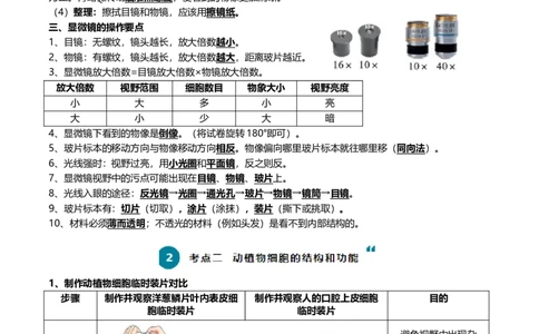 清单02生物体的结构层次（6大考点+6大高频命题点）（教师版）_6生物中考复习_2024年中考复习资料_一轮复习资料_完口袋书2024年中考生物一轮复习知识清单_教师版（含答案解析）