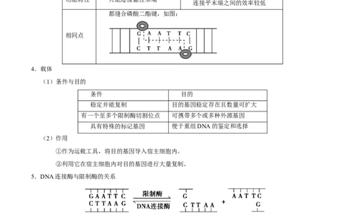 解密26基因工程（讲义）-高频考点解密2021年高考生物二轮复习讲义+分层训练_新高考复习资料_2021年新高考资料_高频考点解密2021年高考生物二轮复习讲义+分层训练4.7更新