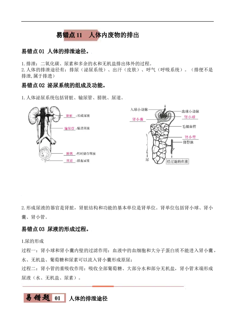 易错点11人体内废物的排出-备战2022年中考生物考试易错题（原卷版）_6生物中考复习_2023年中考复习资料_专项复习_备战2022年中考生物考试易错题