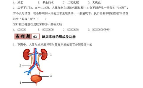 易错点11人体内废物的排出-备战2022年中考生物考试易错题（原卷版）_6生物中考复习_2023年中考复习资料_专项复习_备战2022年中考生物考试易错题
