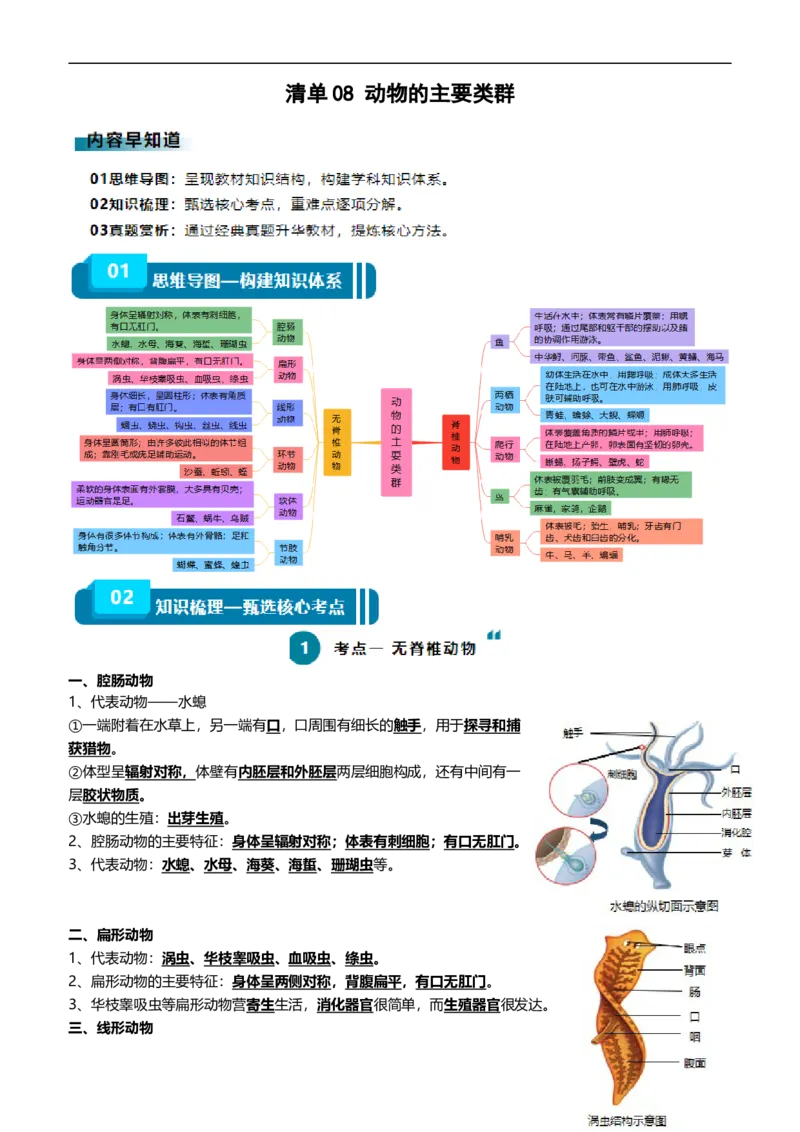 清单08动物的主要类群（2大考点+3大高频命题点）（学生版）_6生物中考复习_2024年中考复习资料_一轮复习资料_完口袋书2024年中考生物一轮复习知识清单