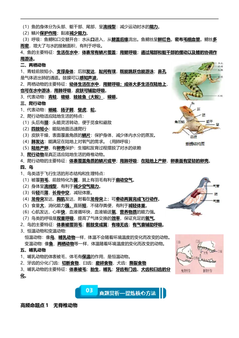 清单08动物的主要类群（2大考点+3大高频命题点）（学生版）_6生物中考复习_2024年中考复习资料_一轮复习资料_完口袋书2024年中考生物一轮复习知识清单