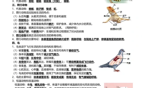 清单08动物的主要类群（2大考点+3大高频命题点）（学生版）_6生物中考复习_2024年中考复习资料_一轮复习资料_完口袋书2024年中考生物一轮复习知识清单