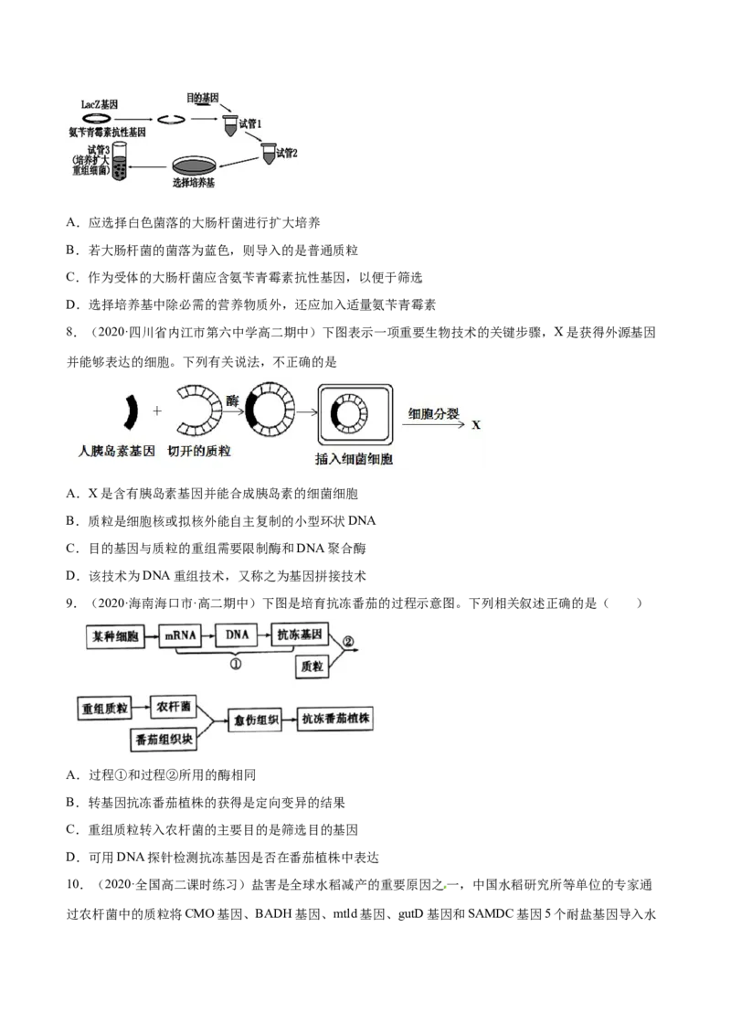 解密26基因工程（分层训练）（原卷版）_新高考复习资料_2021年新高考资料_高频考点解密2021年高考生物二轮复习讲义+分层训练4.7更新