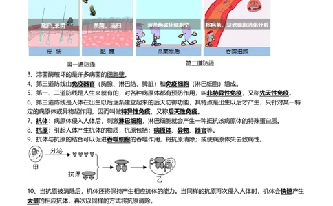 清单15健康地生活（4大考点+7大高频命题点）（教师版）_6生物中考复习_2024年中考复习资料_一轮复习资料_完口袋书2024年中考生物一轮复习知识清单_教师版（含答案解析）